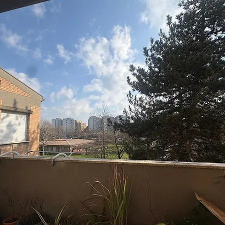 Peacefull Collodi 9 Pansiyon Bolonya