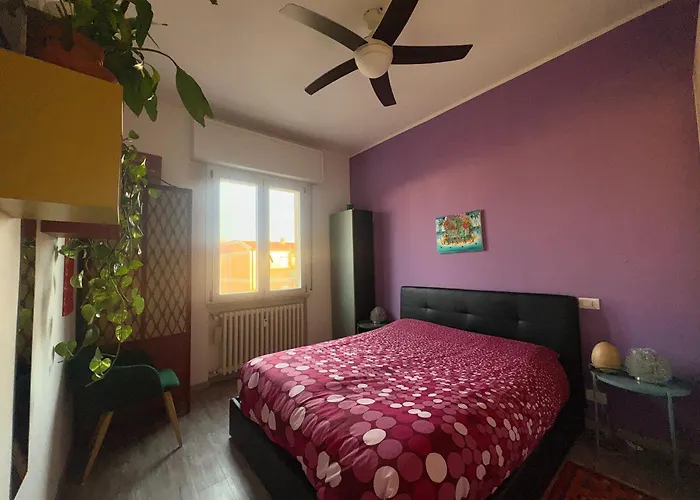 Peacefull Collodi 9 Проживание в семье *